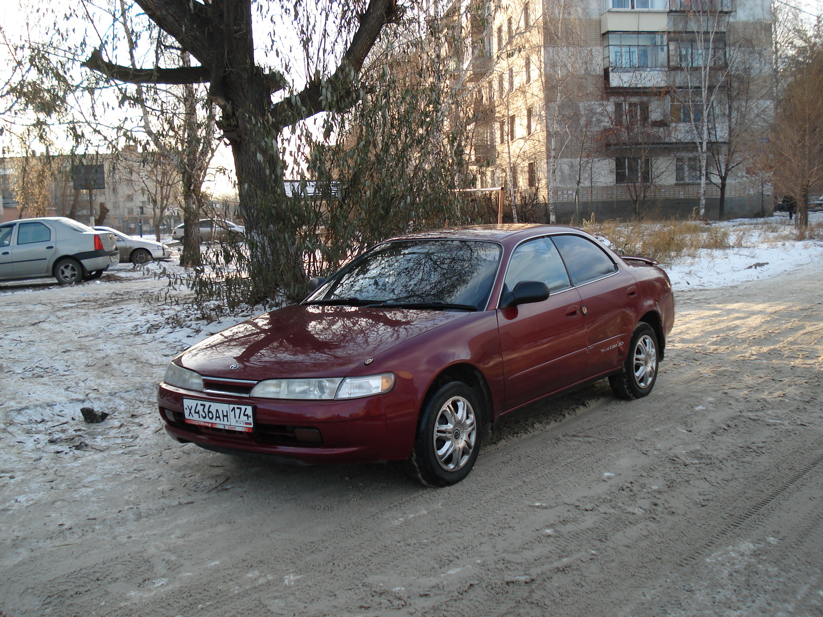 Toyota Corolla Ceres: 11 фото